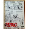 Pedro i året som gikk