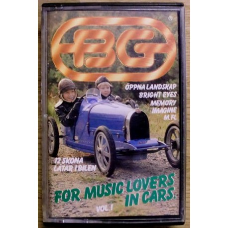 For Music Lovers In Cars