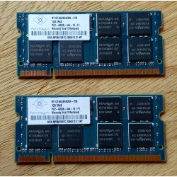 2 x Nanya 1 GB - PC2-4200S - RAM