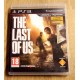 Playstation 3: The Last of Us (Naughty Dog)