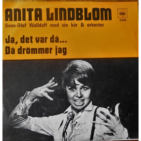 Anita Lindblom- Ja, det var då.....