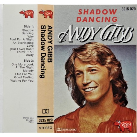 Andy Gibb- Shadow Dancing