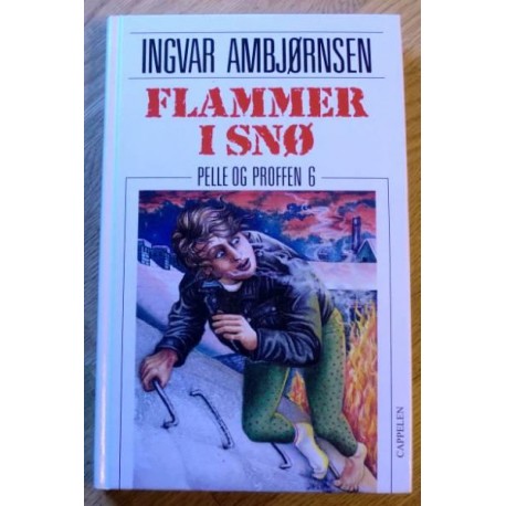 Ingvar Ambjørnsen: Pelle og Proffen: Nr. 6 - Flammer i snø