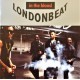 Londonbeat- in the blood (CD)