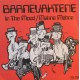 Barnevaktene- In the Mood (Singel- vinyl)