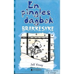 En pingles dagbok - Nr. 6 - Brakkesyke