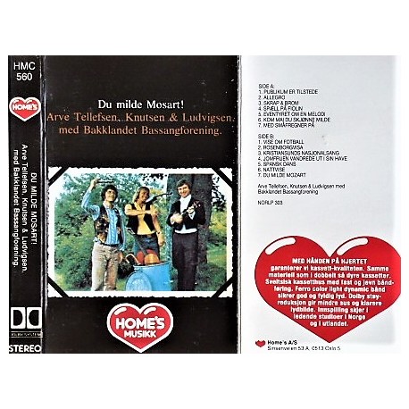 Knutsen & Ludvigsen - Du milde Mosart!