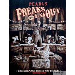 Pearls Freaks Out - A Pearls Before Swine Treasury - 2012