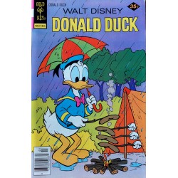 Walt Disney - Donald Duck - No. 193 - 1978 - Gold Key