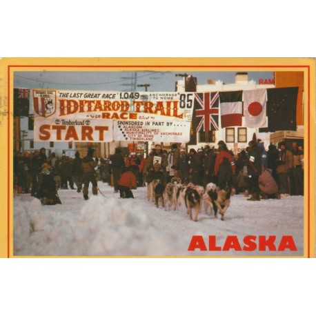 Alaska - Iditarod Trail Race - Postkort