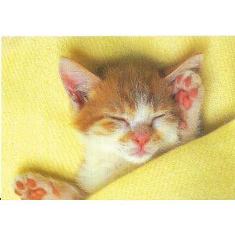 Sovende katteunge - Japan - Postkort