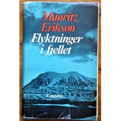 Flyktninger i fjellet