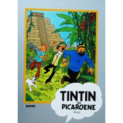Seriesamlerklubben- Tintin og Picaroene