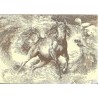 Hest - Kina - Postkort