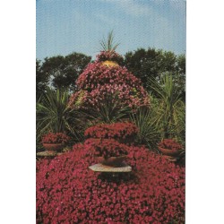 Blomsteropsatse - Nr. 9101 - Jesperhus Blomsterpark - Postkort