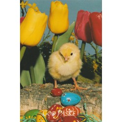God påske - Postkort