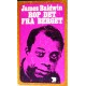 James Baldwin- Rop det fra berget