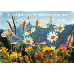 Blomstereng - Postkort