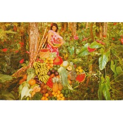 USA - Hawaii - Hawaii's Fruits and Vegetables - Postkort