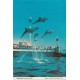 USA - California - Marineland of the Pacific - Palos Verdes Peninsula - Delfiner - Postkort