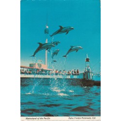 USA - California - Marineland of the Pacific - Palos Verdes Peninsula - Delfiner - Postkort