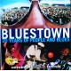 Bluestown- Notodden Blues Festival