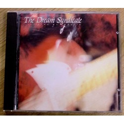 The Dream Syndicate: Live at Raji's
