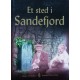 Roger Davidsen- Et sted i Sandefjord