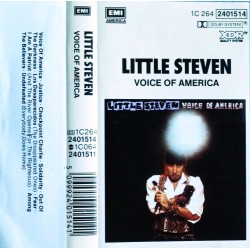 Little Steven- Voice Of America