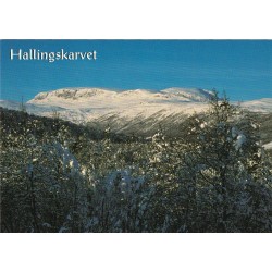 Hallingskarvet - Hol i Hallingdal - Postkort