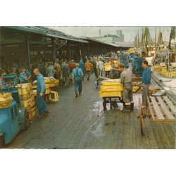 Gothenburg - Fishing Harbour - Sweden - Postkort