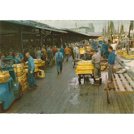 Gothenburg - Fishing Harbour - Sweden - Postkort