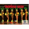 Color Line - Tropiske uker - Postkort