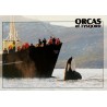 Orcas of Tysfjord - Spekkhogger - Nordland - Postkort
