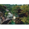 Fishpond - Matlock-Bath - England - Postkort