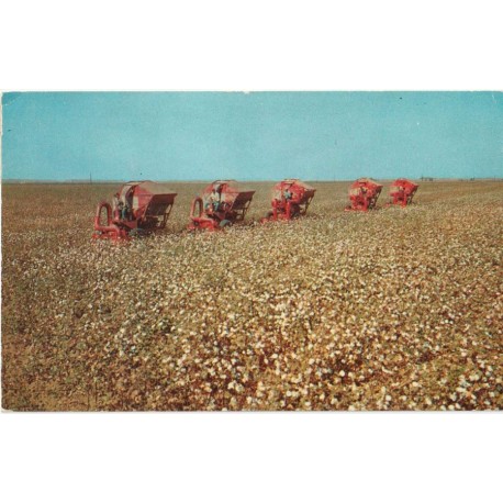 Mechanical Cotton Pickers - USA - Postkort