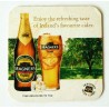 Ølbrikker- Magners Original Irish Cider