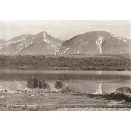 Østerdalen - Sølenfjell - Hedmark - Postkort