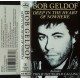 Bob Geldof- Deep In The Heart Of Nowhere