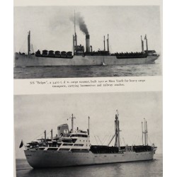 The Saga of Norwegian Shipping