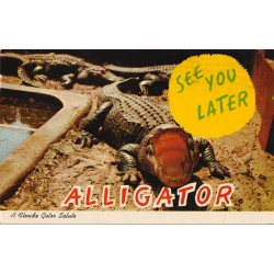 See you later Alligator - A Florida Gator Salute - Postkort