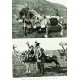Lilian Bye- Finner i Finnmark (1939)