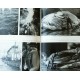 Peter Freuchen's- De syv hav