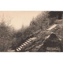 Mössebergs bad - Trapporna upp till Bredablick - 162 - 1919 - Sverige - Postkort