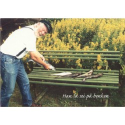 Han lei sei på benken - Humorkort - Postkort
