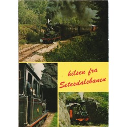 Hilsen fra Setesdalsbanen - 5 km lang museumsjernbane mellom Grovane og Beihølen - Postkort