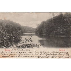 Marielundskoven - Kolding - Danmark - Postkort