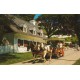 Mackinac Island - Michigan - Team of horses and carriage in front of Beaumont Memorial Building - USA - Postkort