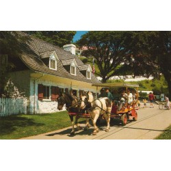 Mackinac Island - Michigan - Team of horses and carriage in front of Beaumont Memorial Building - USA - Postkort
