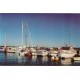 Gjestebryggen i Nevlunghavn - Vestfold - Postkort
